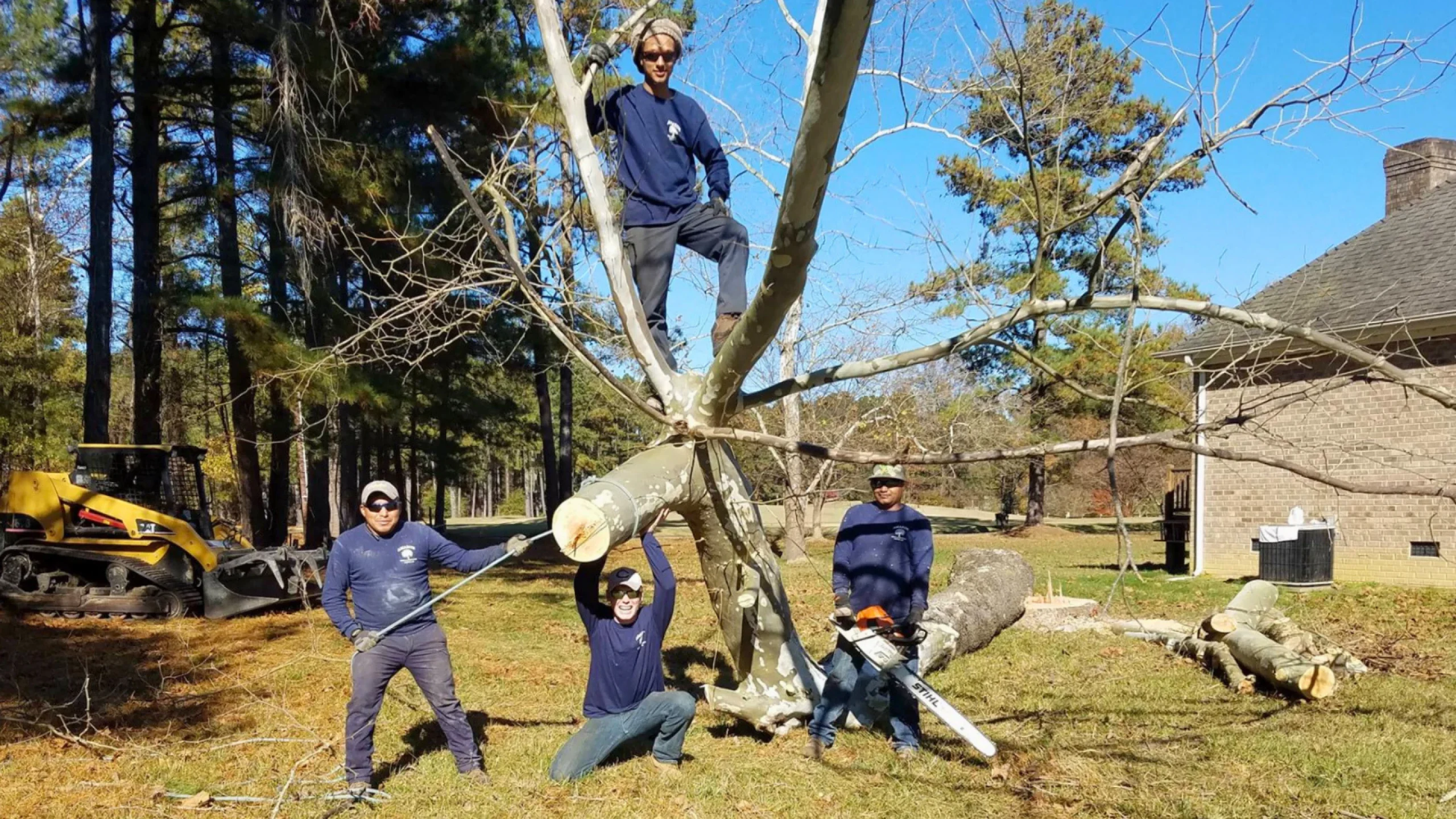 Amazon Tree Service gallery 6