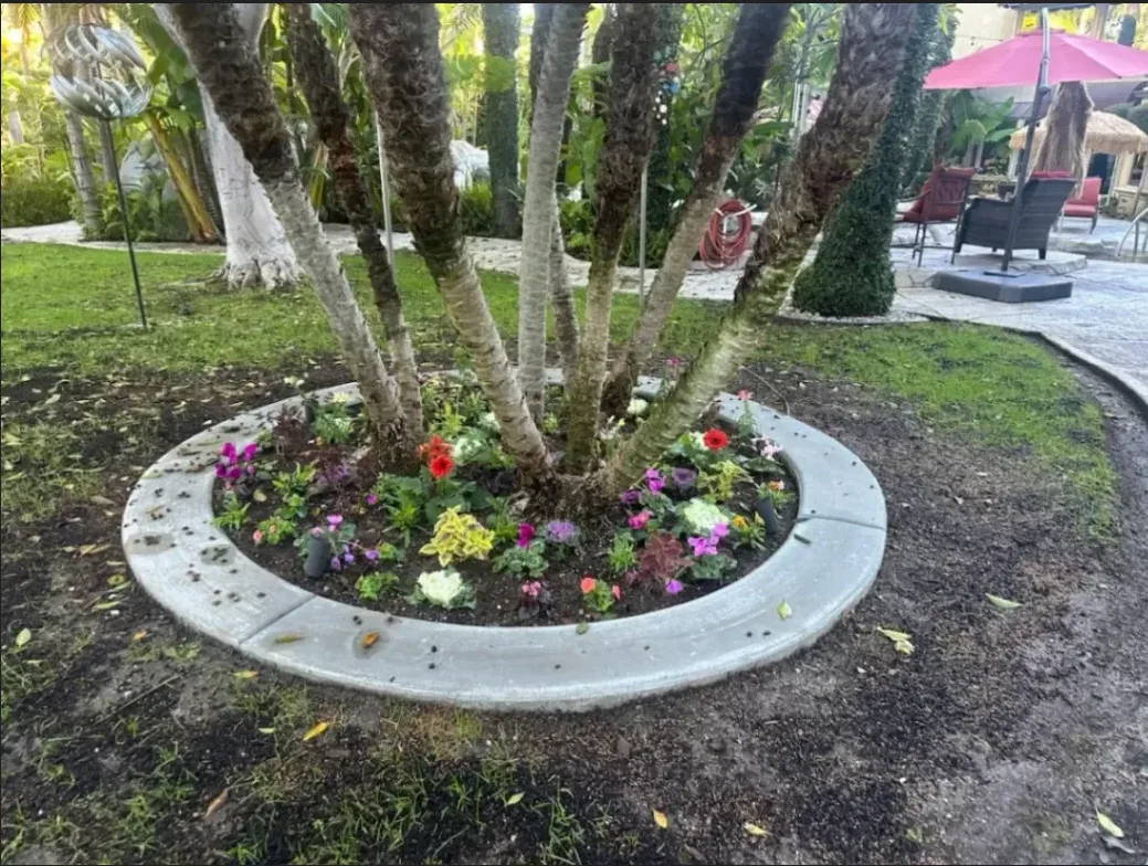 Andre Tree Services