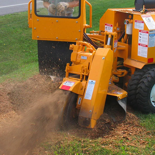 Arbor Care Tree Service gallery 7