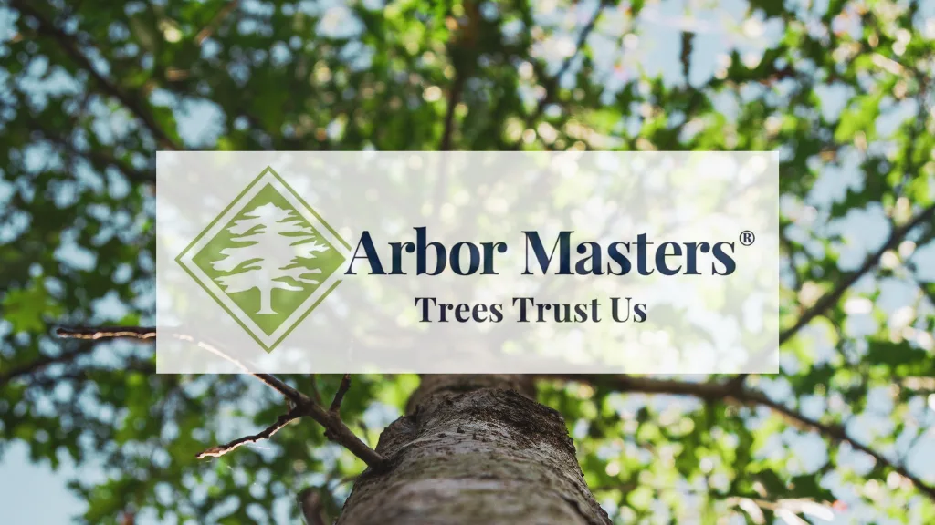 Arbor Masters