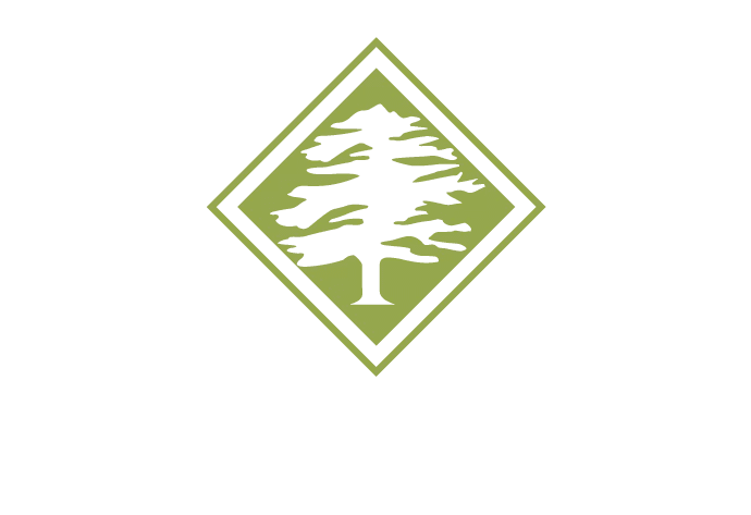 Arbor Masters gallery 3