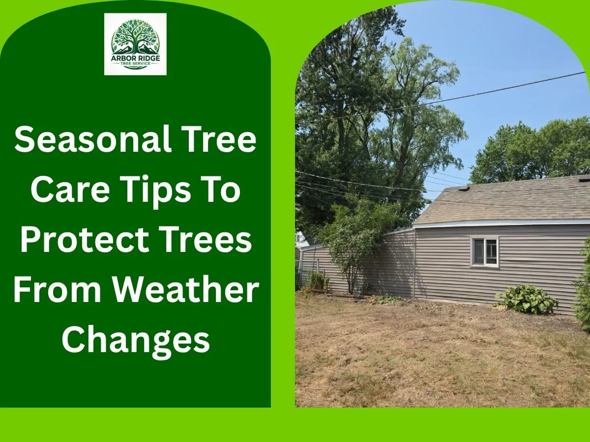 Arbor Ridge Tree service buffalo ny