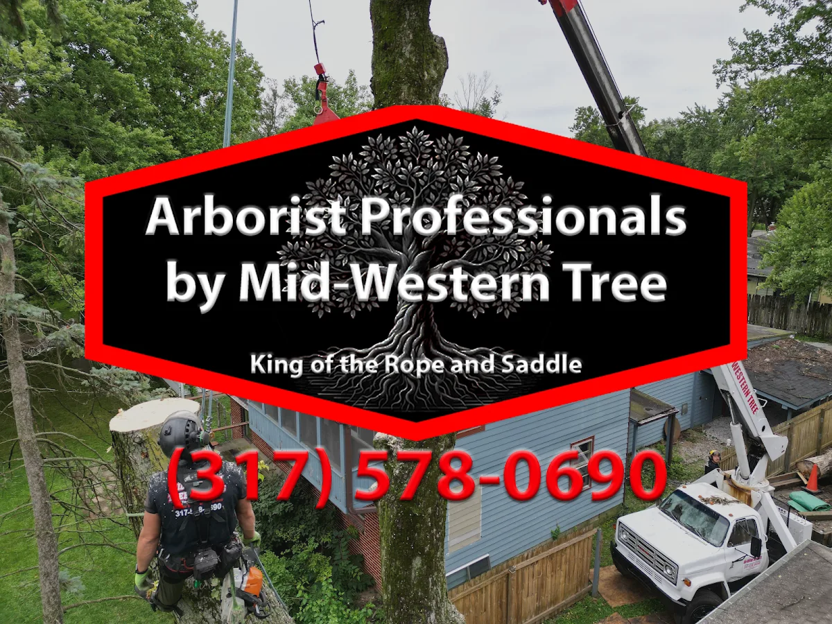 Arborist Professionals By Midwestern Tree Experts
