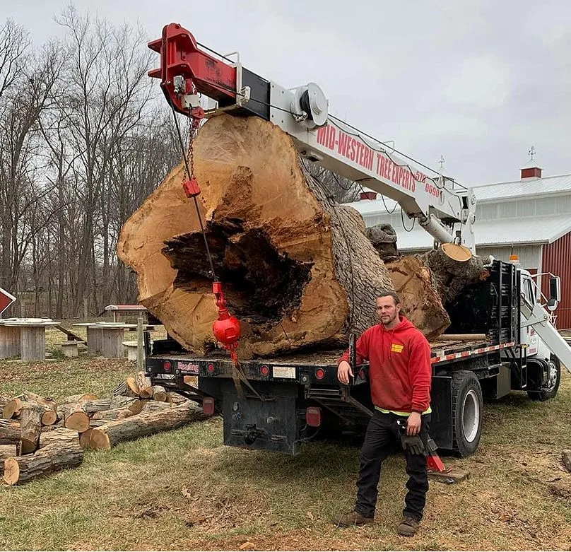 Arborist Professionals By Midwestern Tree Experts gallery 3