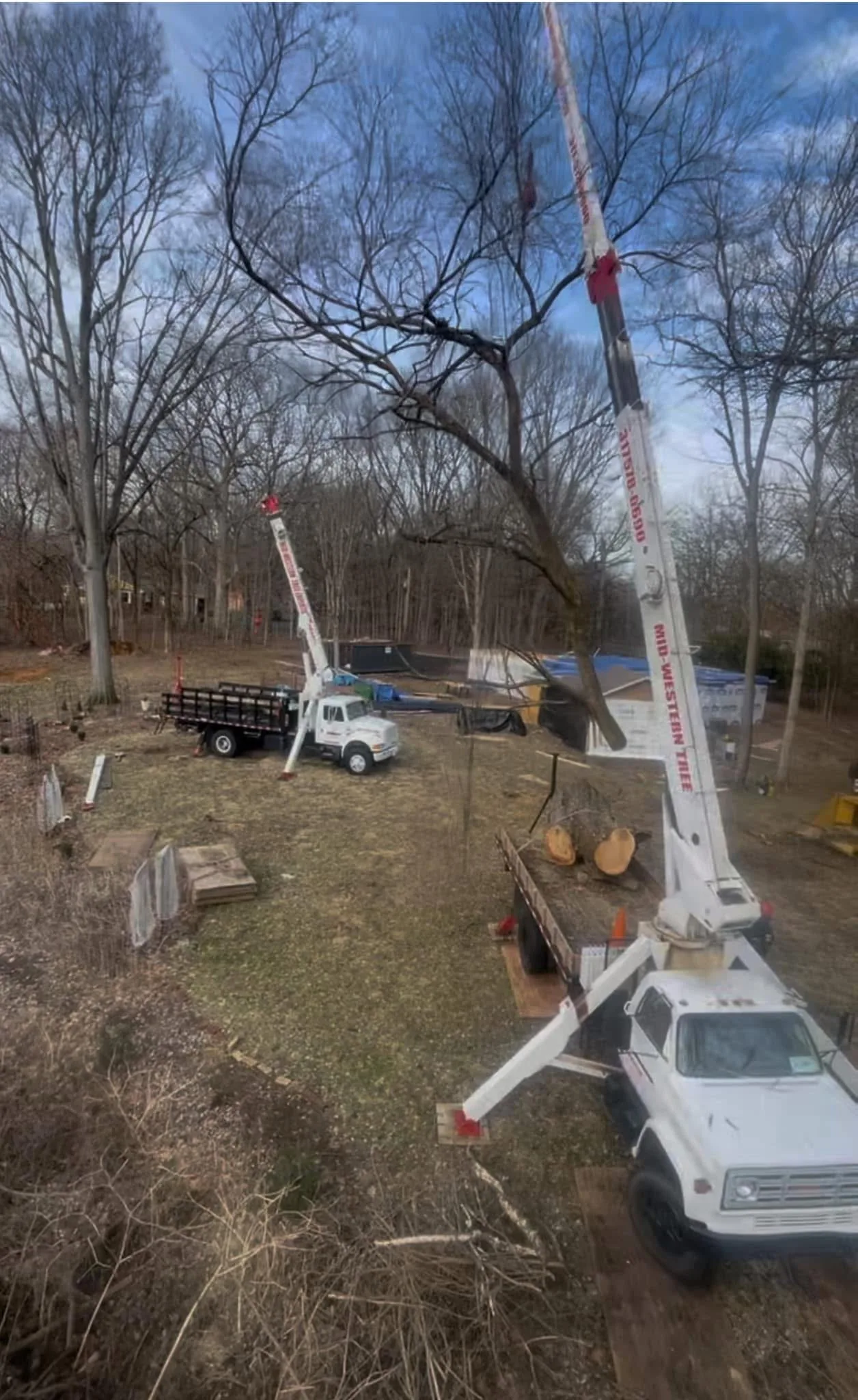 Arborist Professionals By Midwestern Tree Experts gallery 9