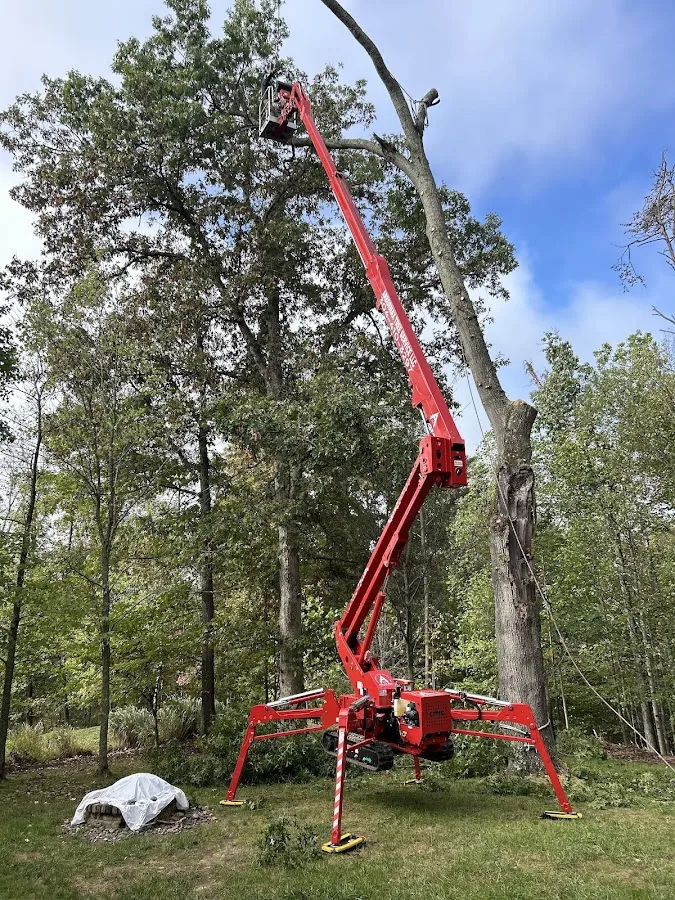 ArbormaxX Tree Service LLC