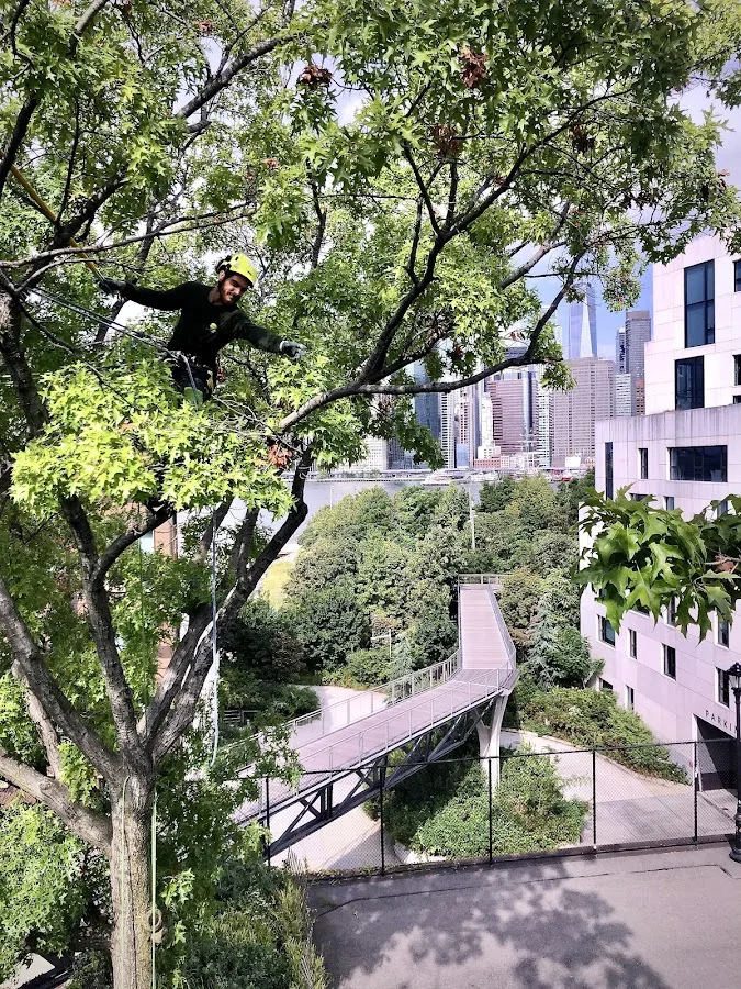 Arborpolitan Tree & Garden Care