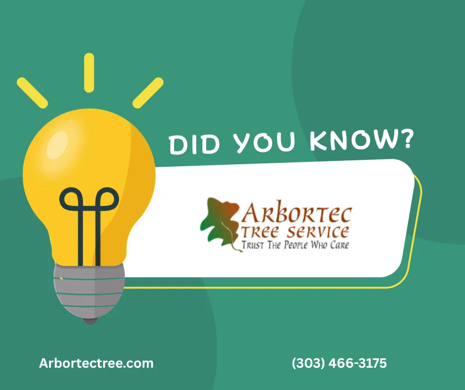Arbortec Tree Service gallery 2