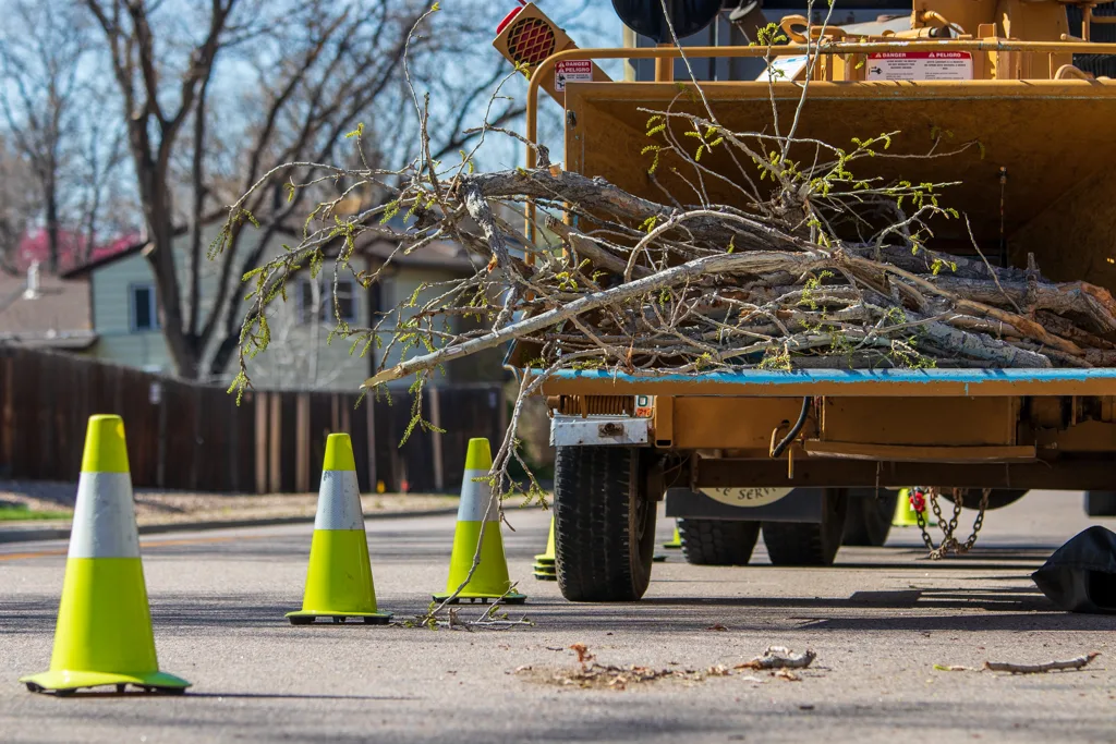 Arbortec Tree Service gallery 4