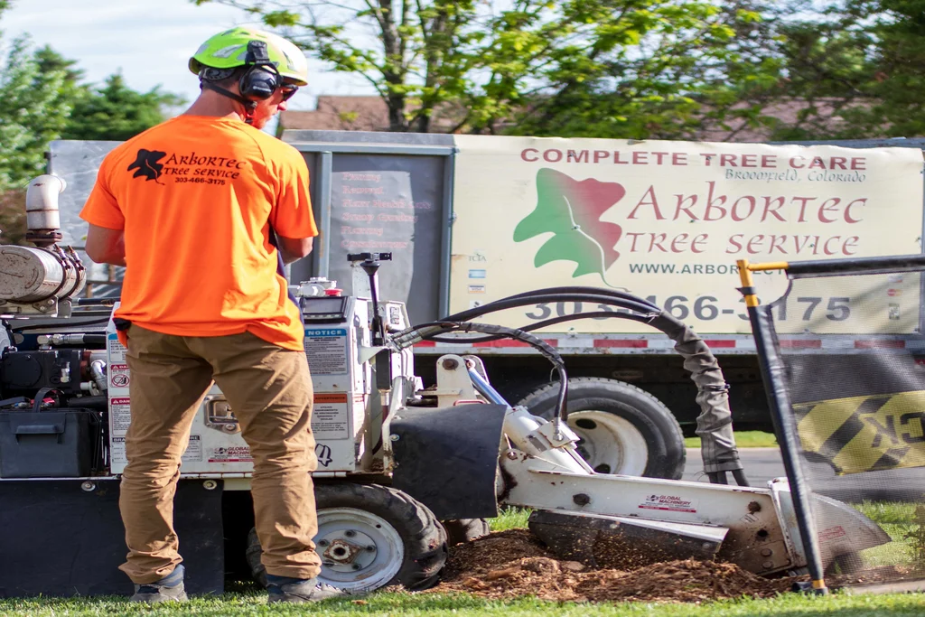 Arbortec Tree Service gallery 5