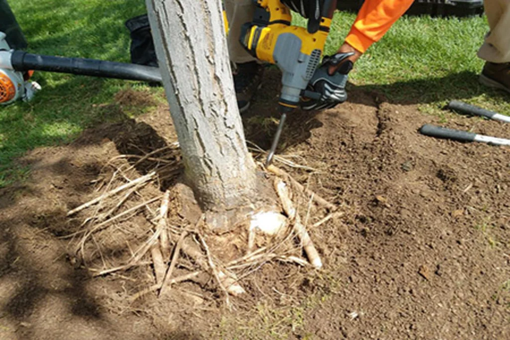 Arbortec Tree Service gallery 6