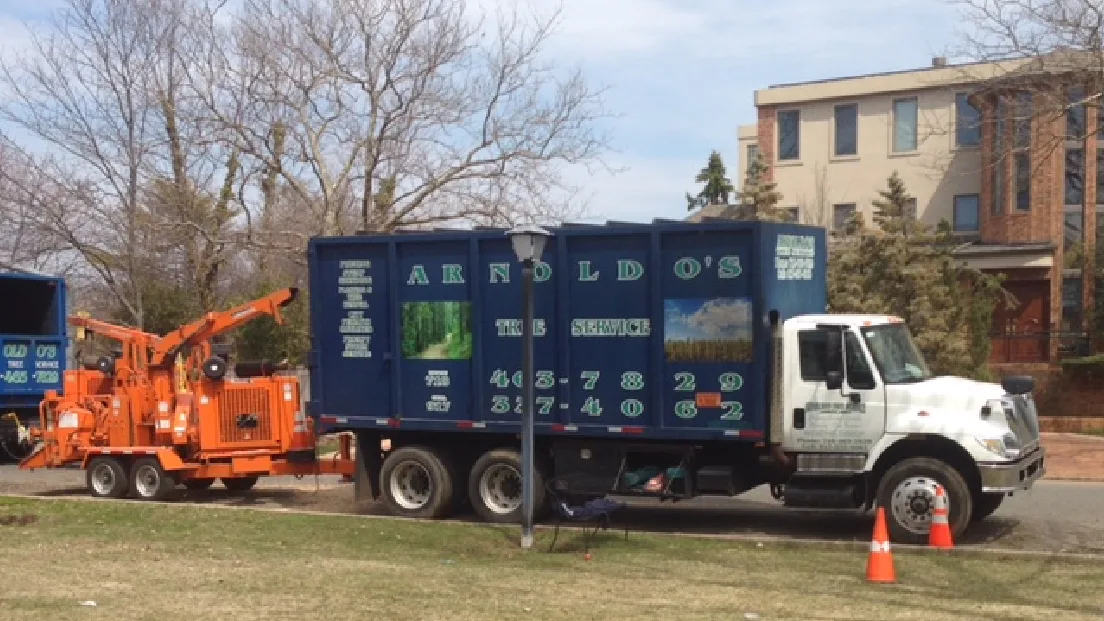Arnoldo's Tree Service