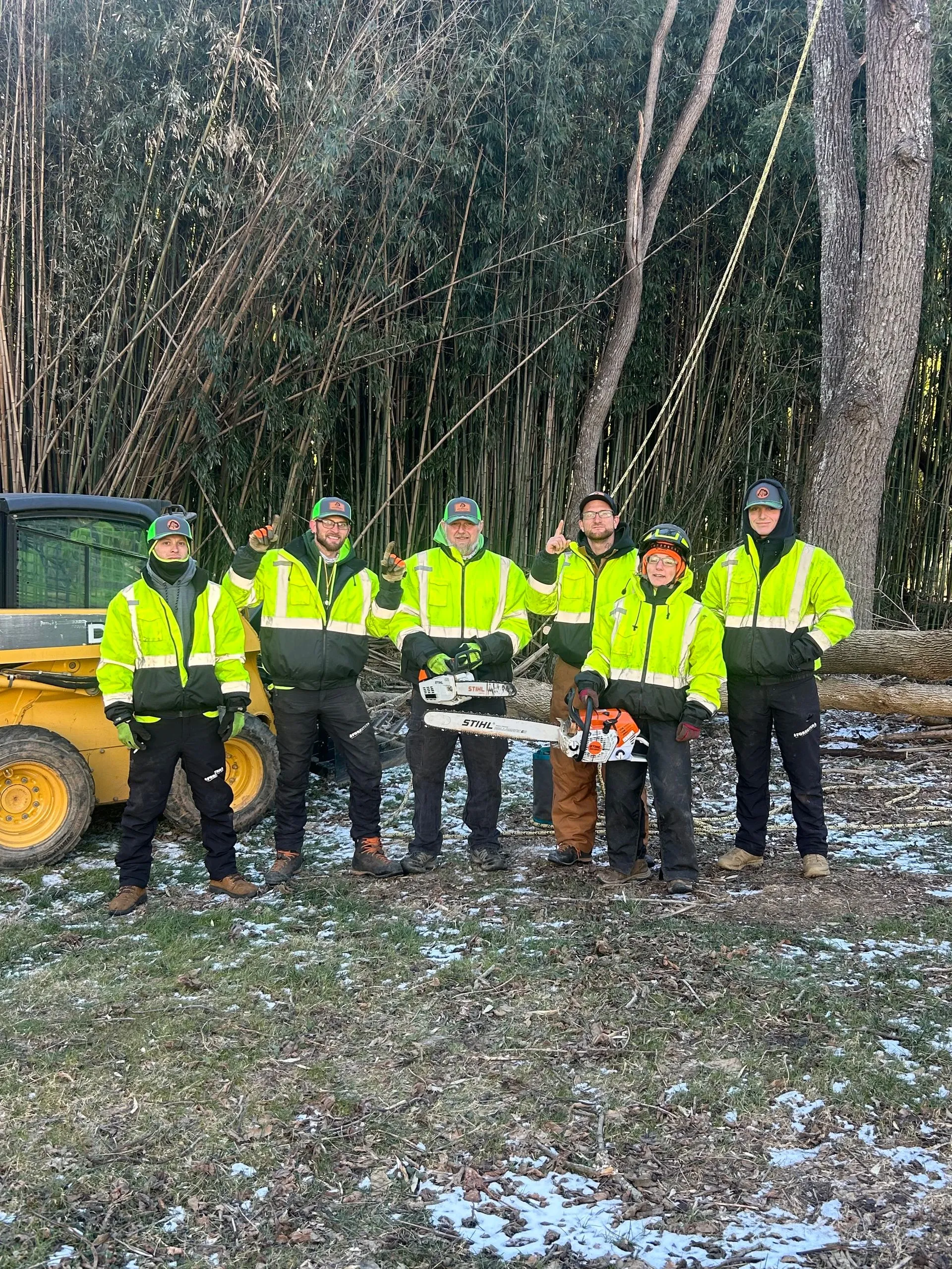 Asheville Affordable Tree Men gallery 3