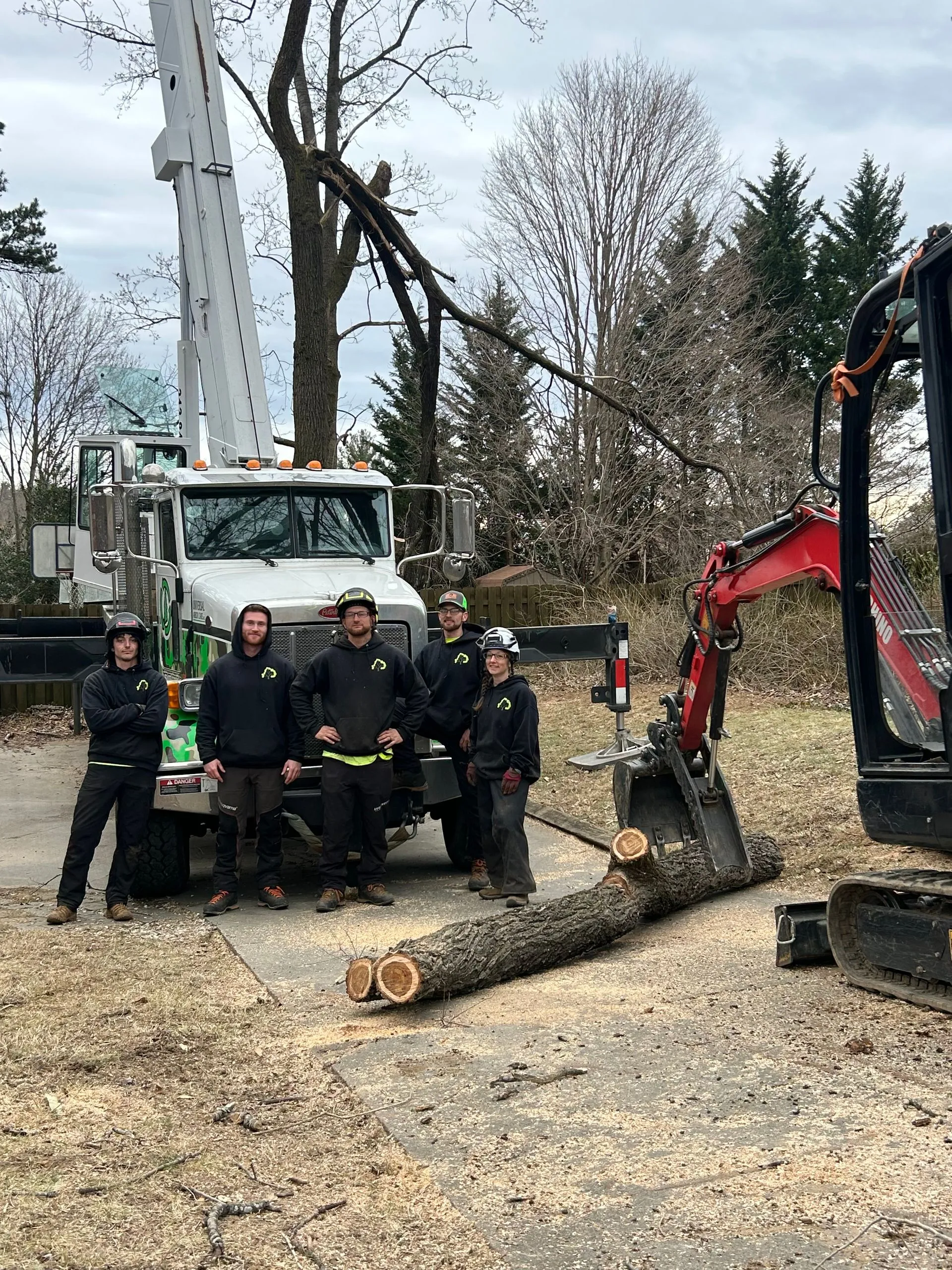 Asheville Affordable Tree Men gallery 4