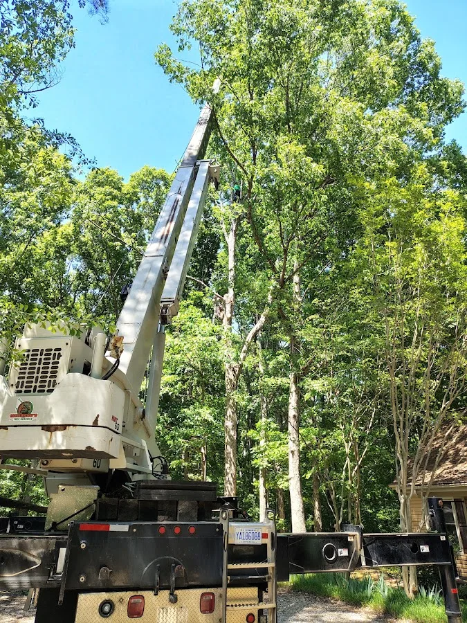 Ashland Tree Service