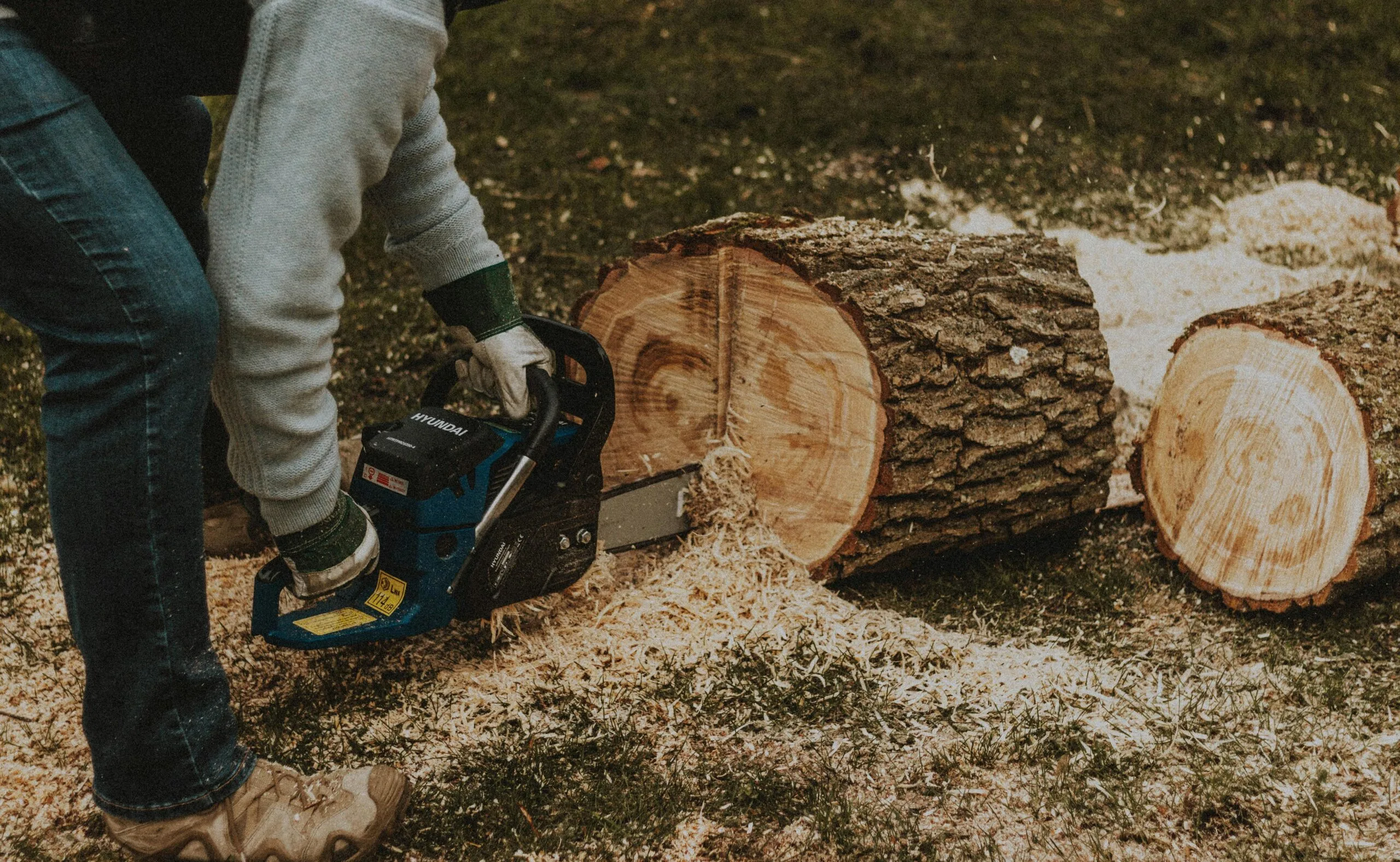 Ashland Tree Service gallery 5