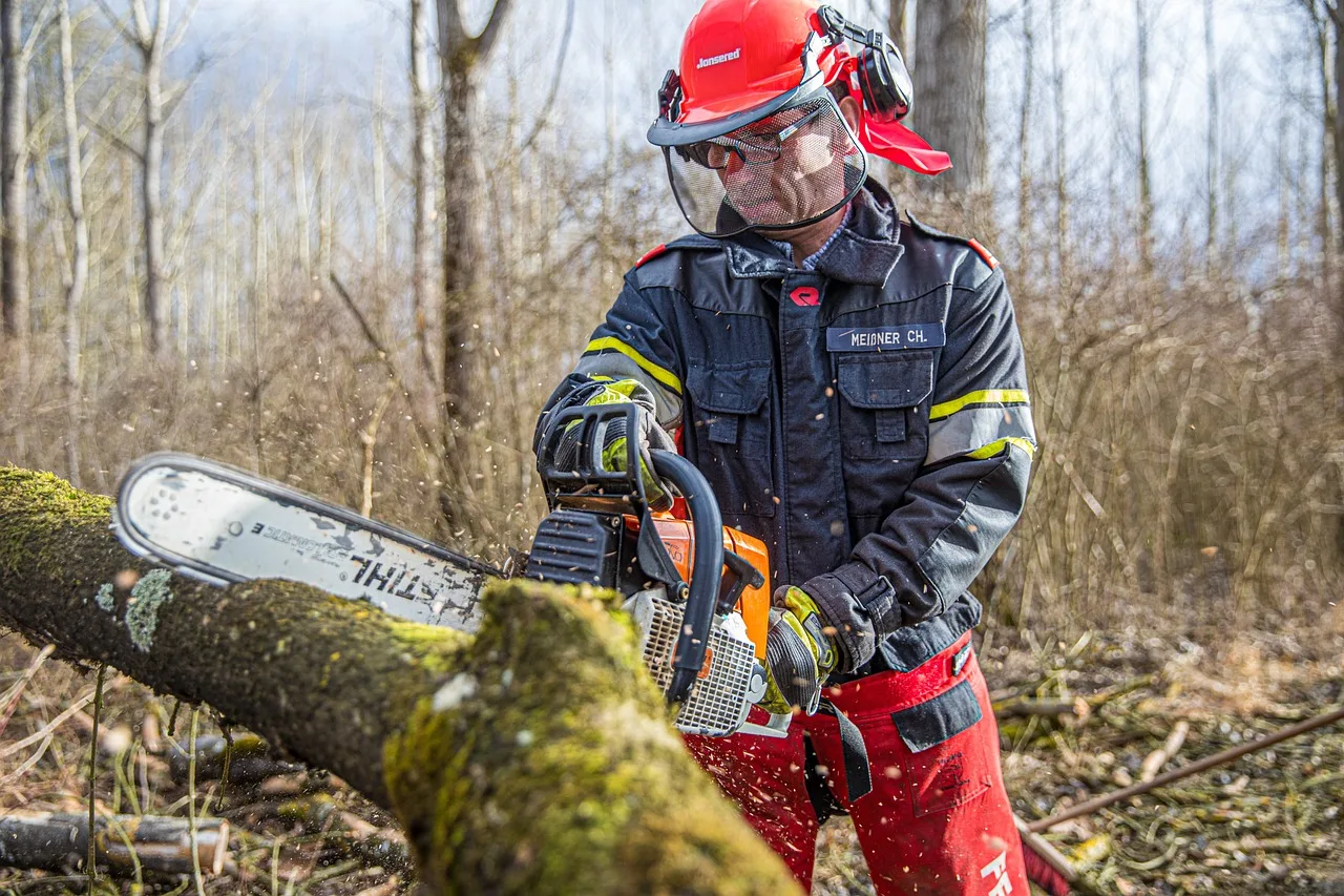 Ashland Tree Service gallery 7