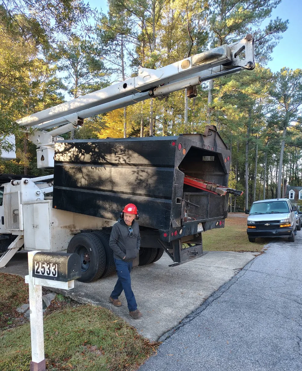Ashland Tree Service gallery 9