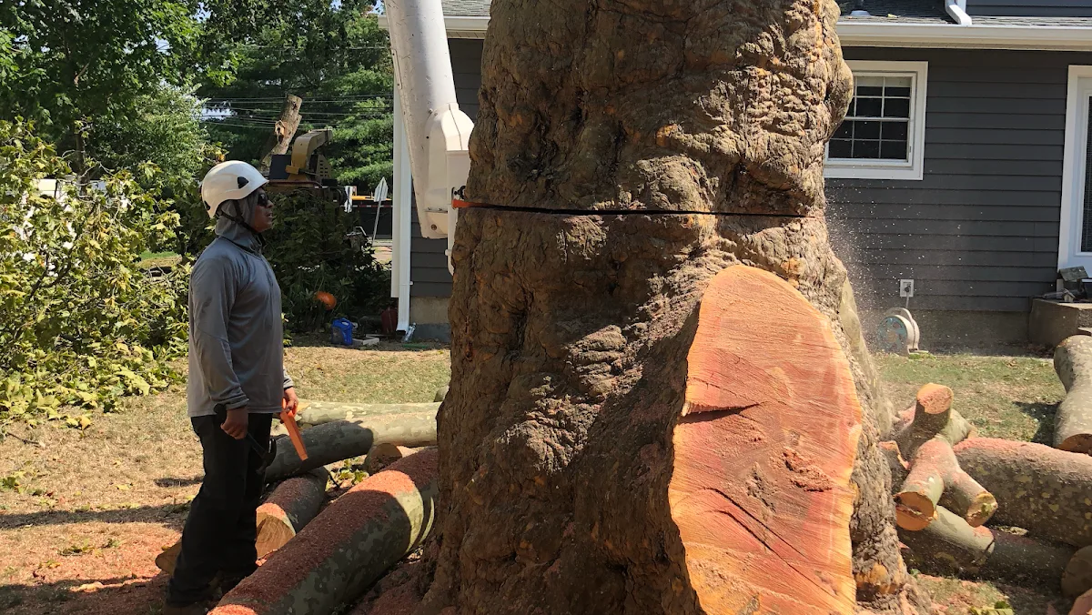 At The Top Tree Service Corp