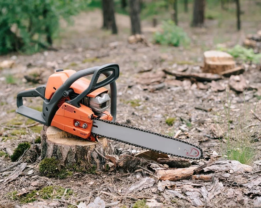 Bakersfield Tree Service gallery 4