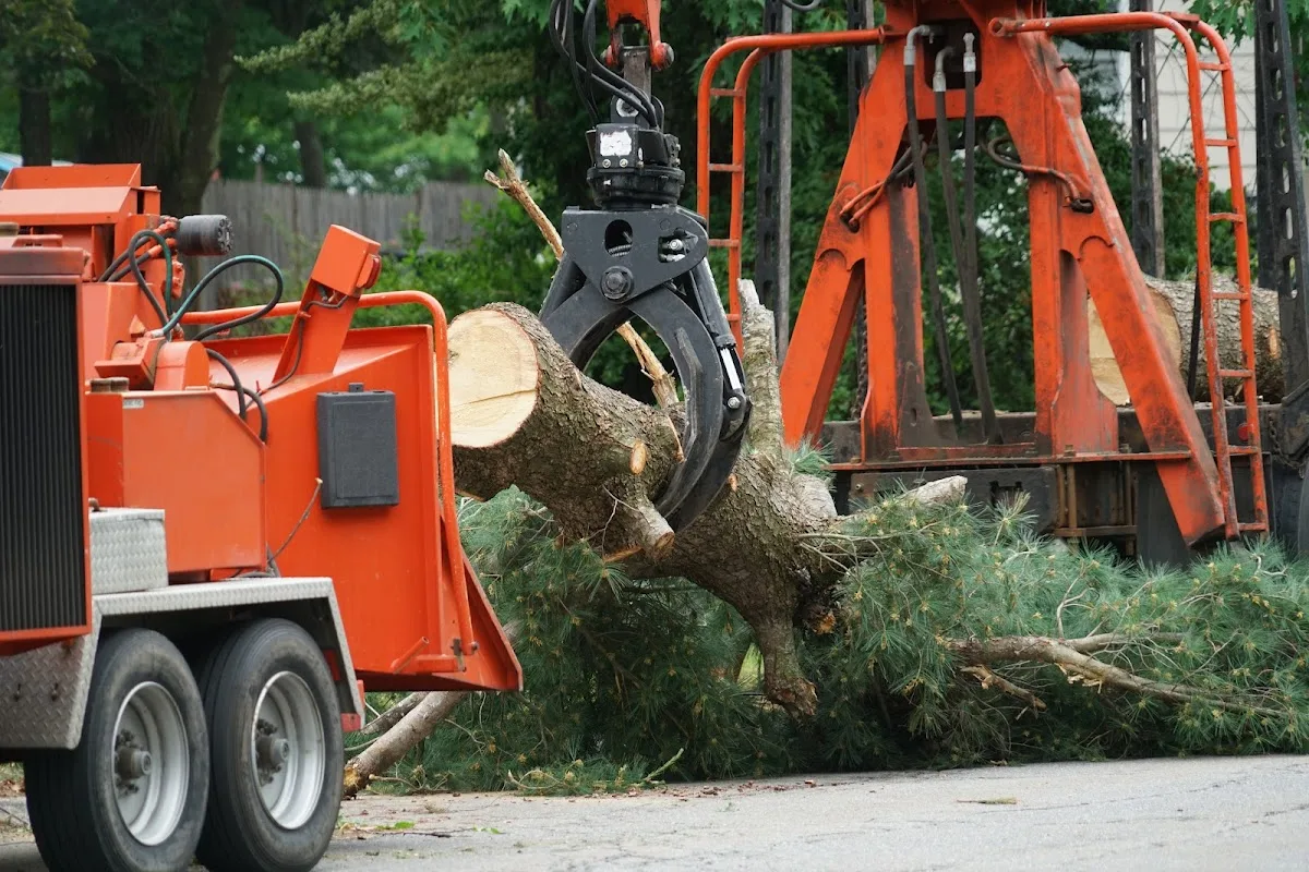 Bart’s Bronx Tree Services