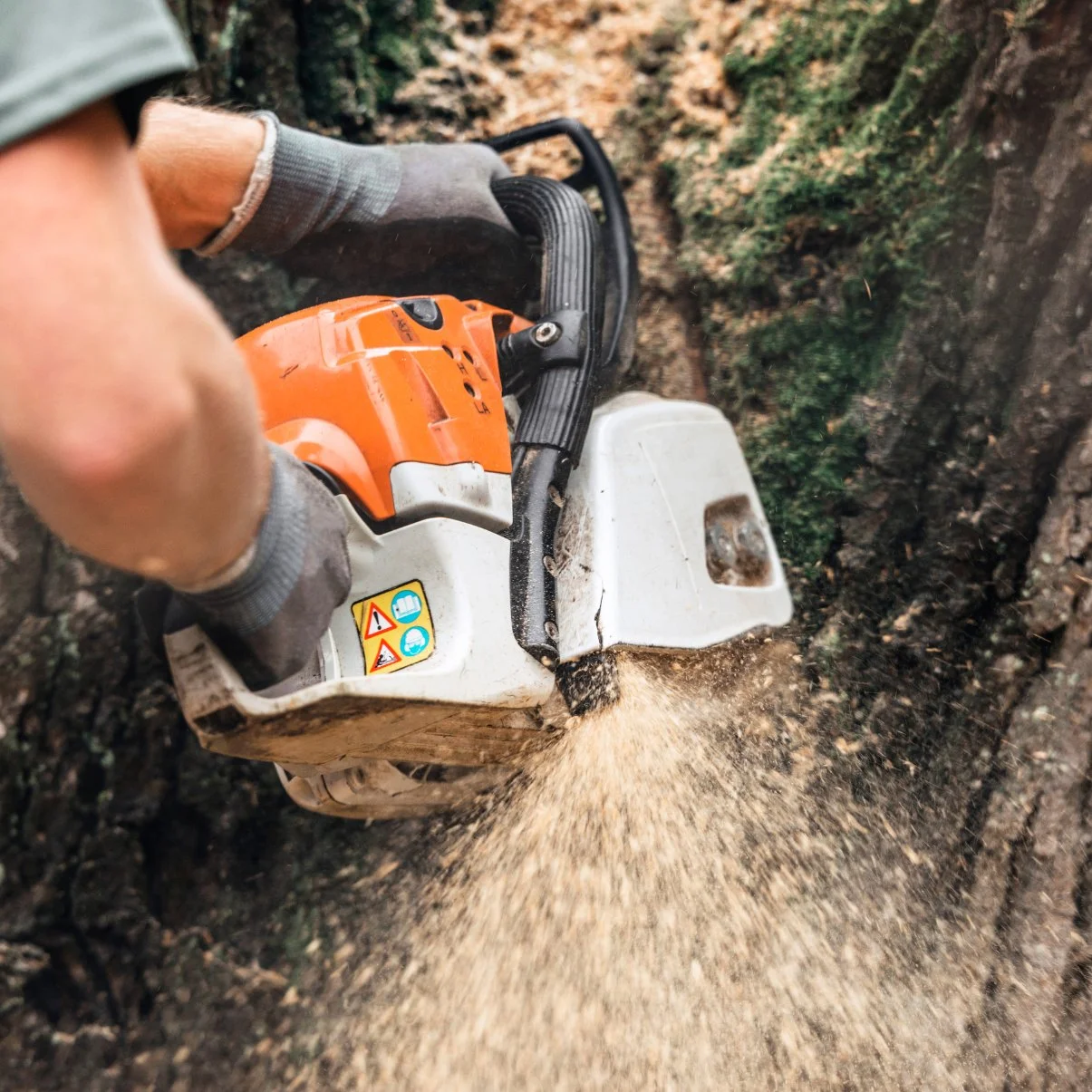 Bart’s Bronx Tree Services gallery 7