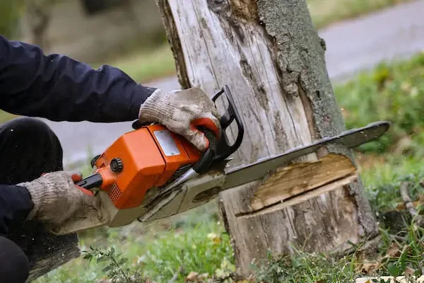 Bart’s Bronx Tree Services gallery 9