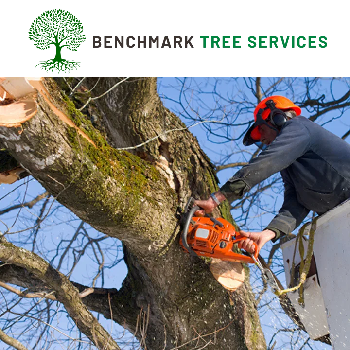 Benchmark Tree Service