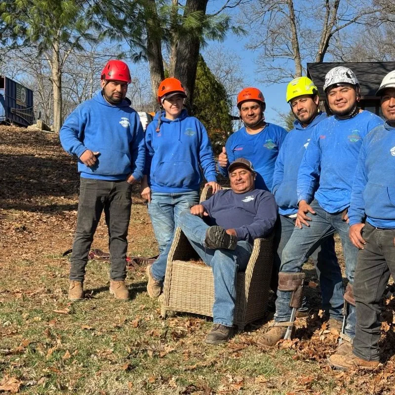 Benjamin Indy Tree Service LLC gallery 4