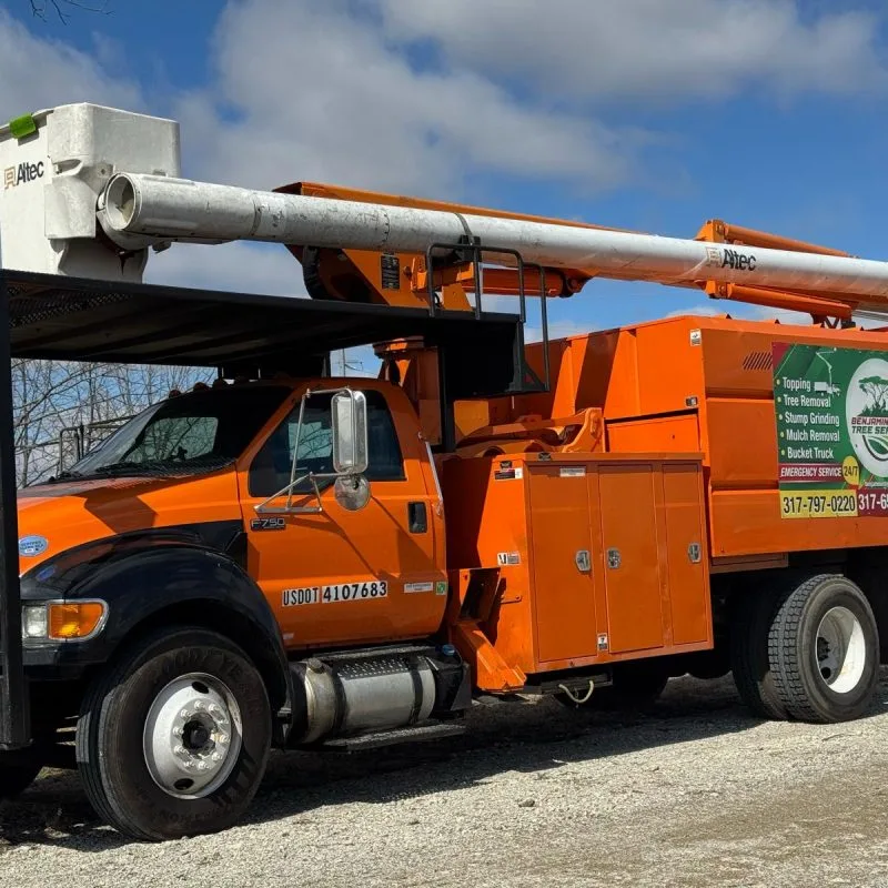 Benjamin Indy Tree Service LLC gallery 5