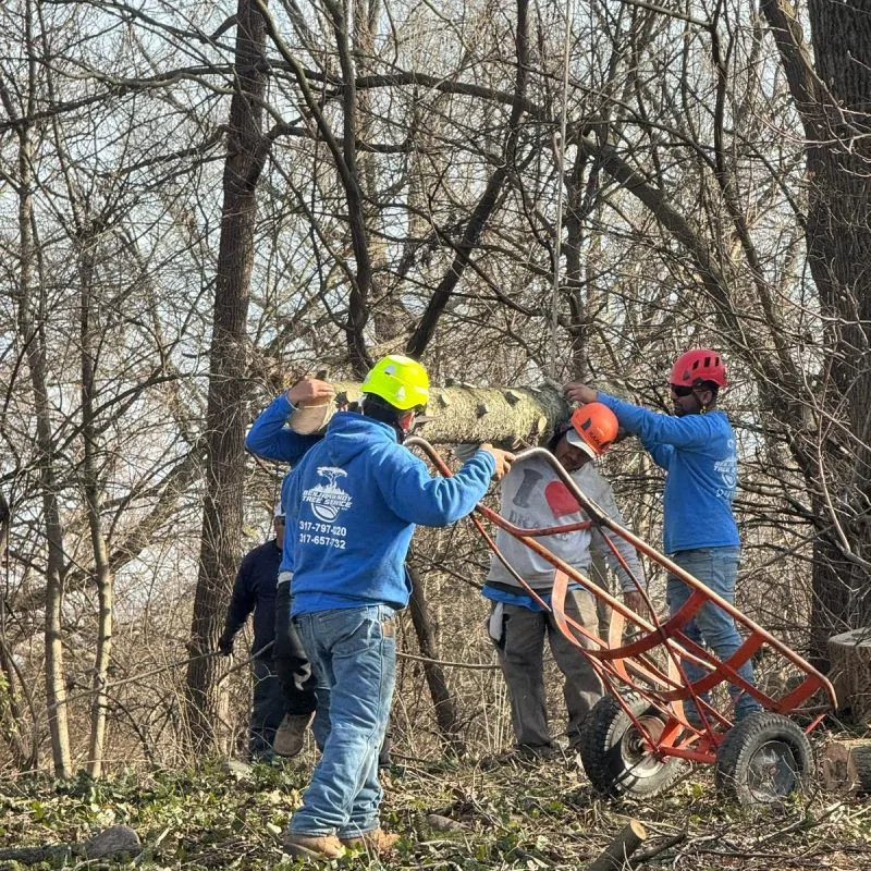 Benjamin Indy Tree Service LLC gallery 9