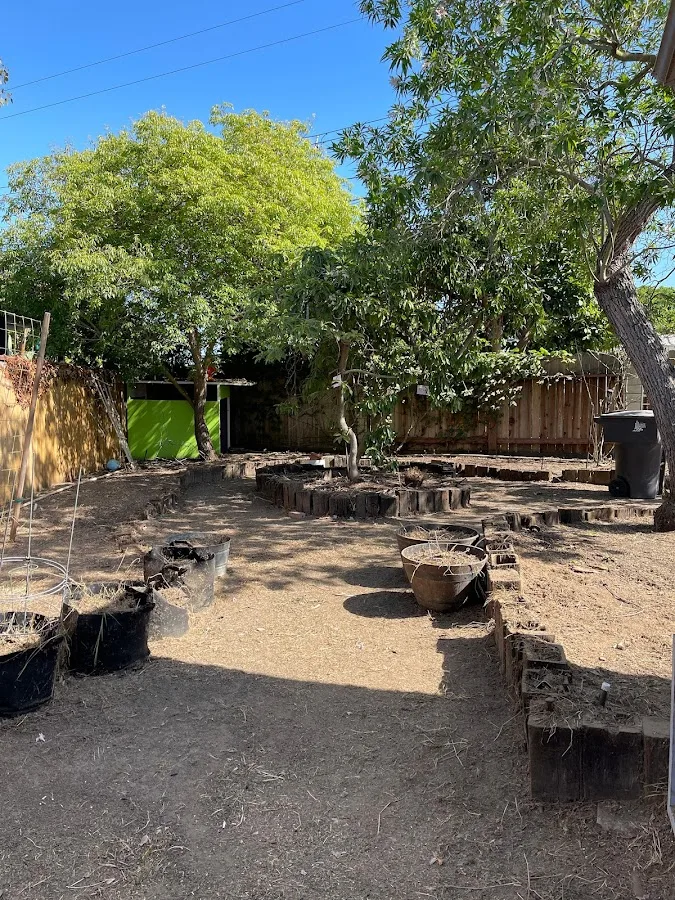 BG Tree Service and Landscape gallery 2