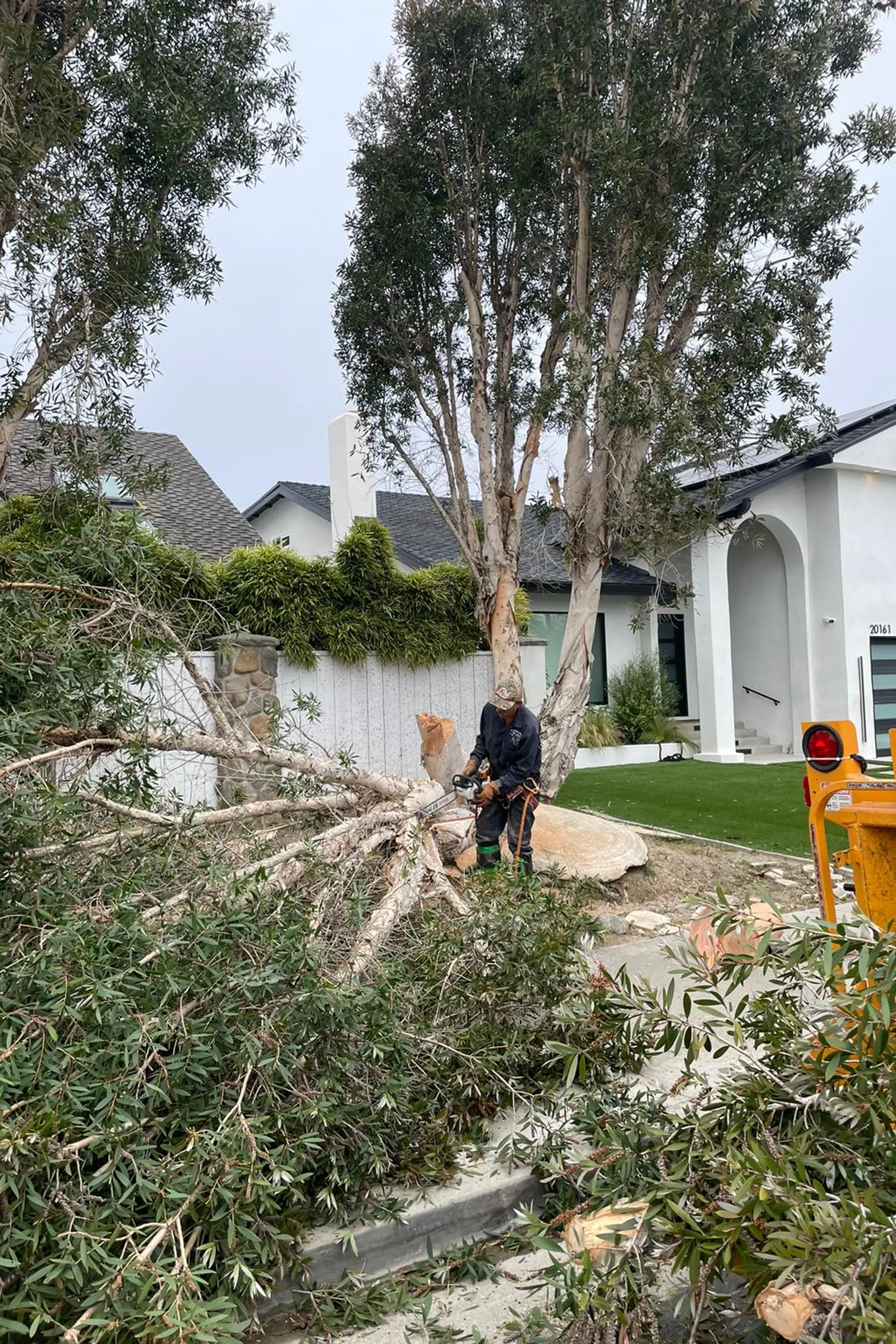 BG Tree Service and Landscape gallery 4