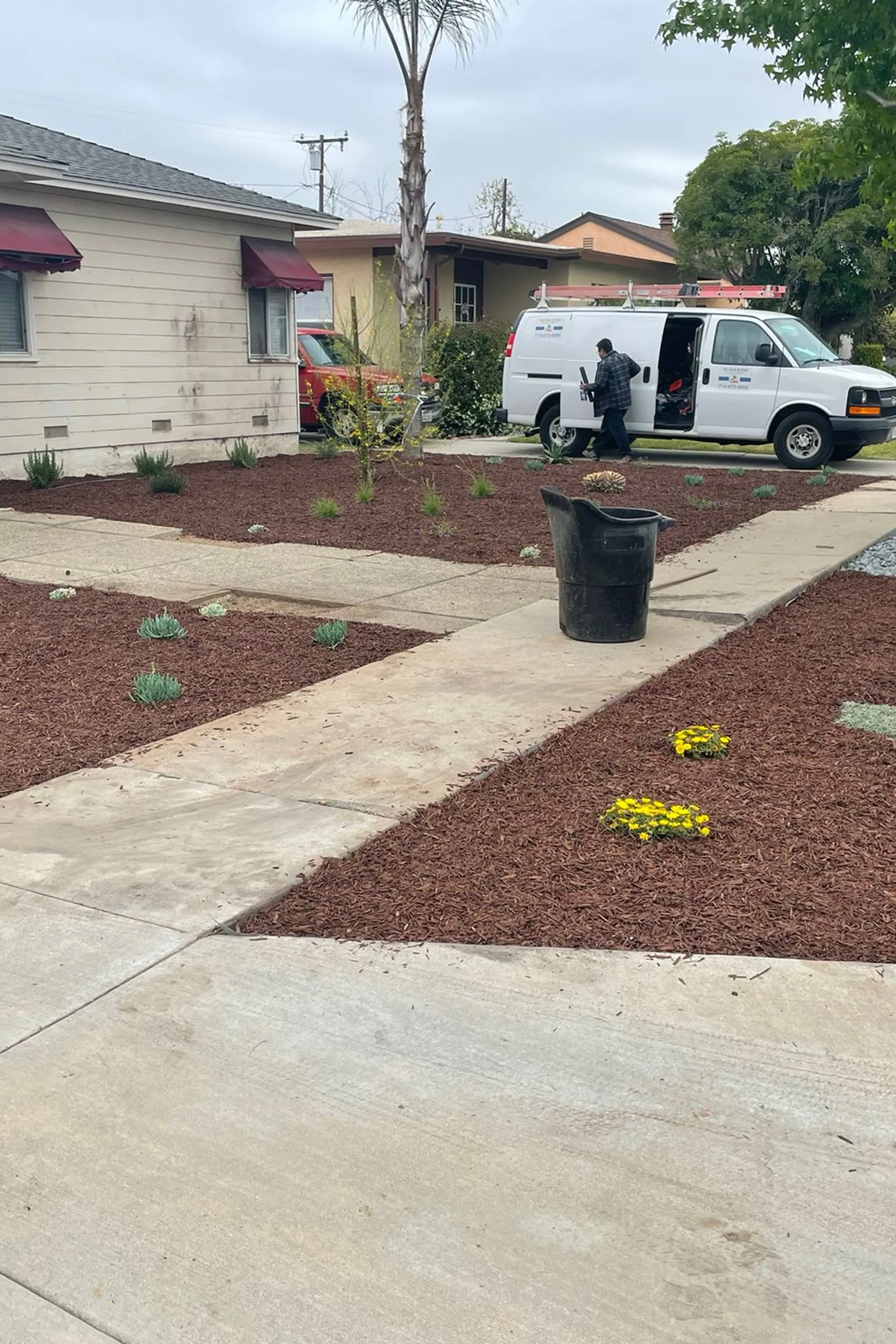 BG Tree Service and Landscape gallery 5