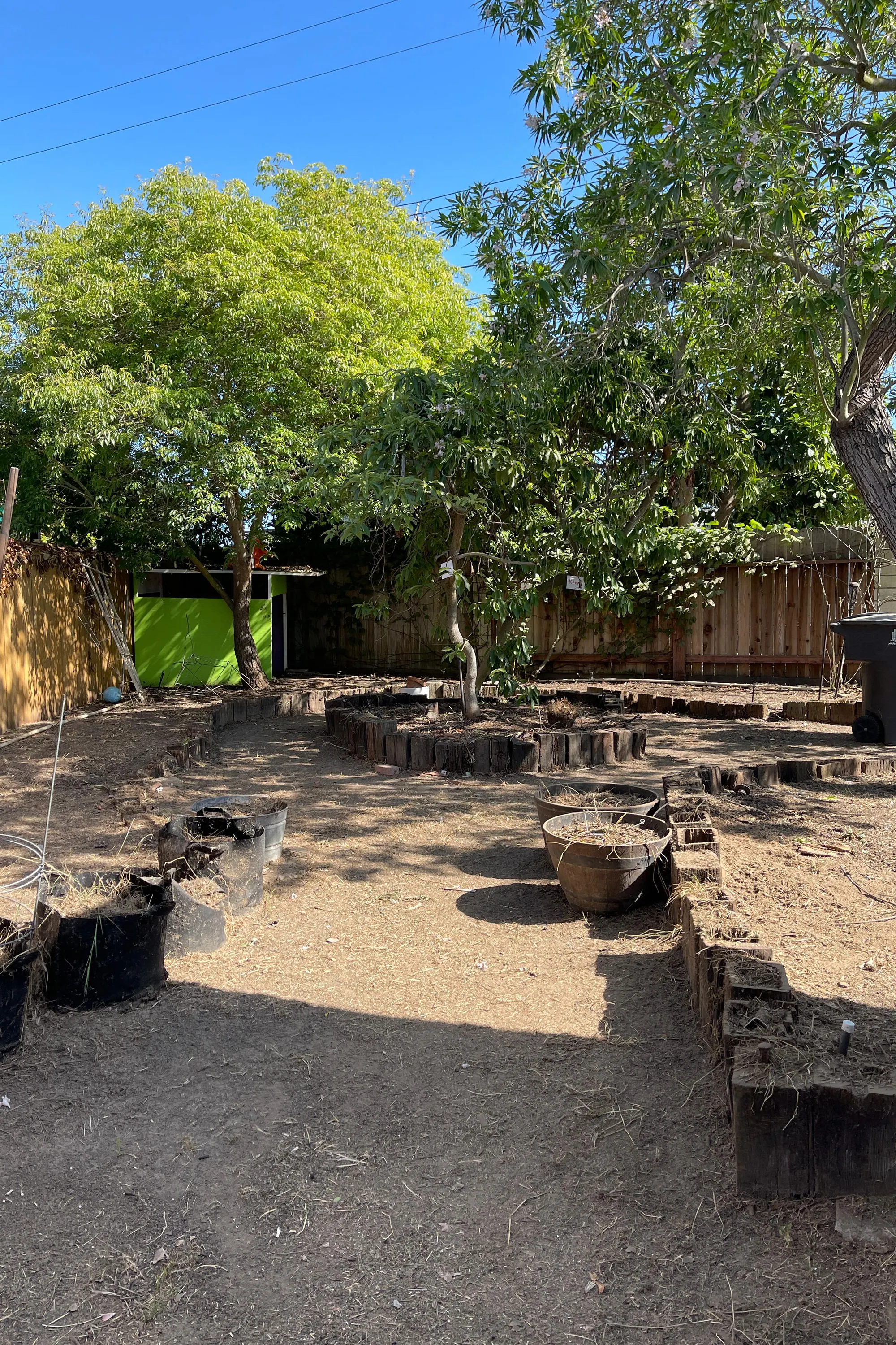 BG Tree Service and Landscape gallery 6