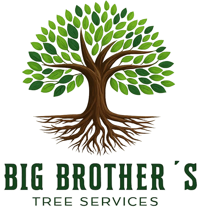 Big Brothers Tree Services gallery 3