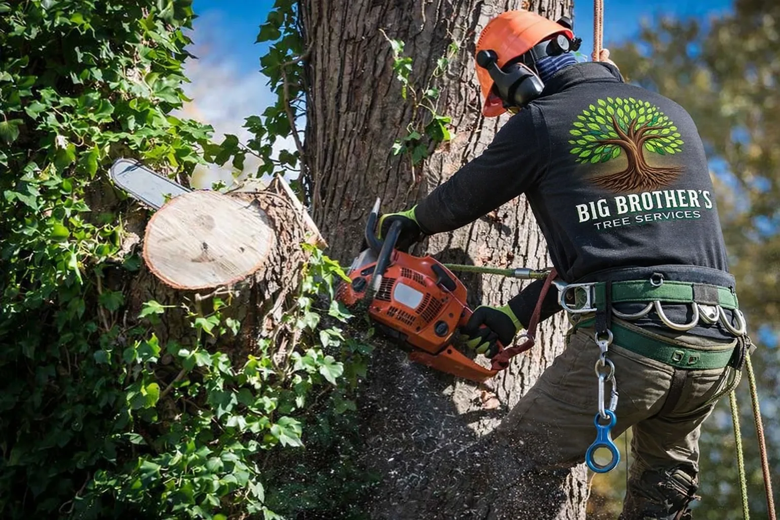 Big Brothers Tree Services gallery 4