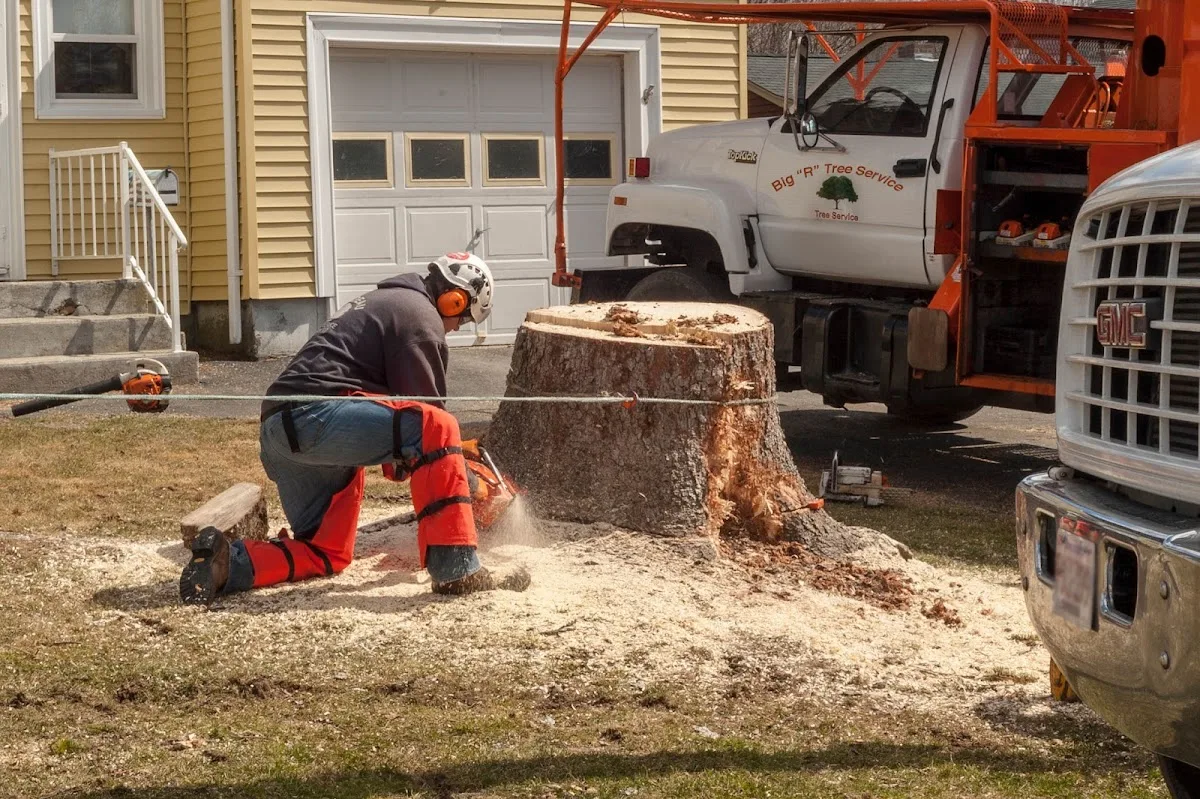 Big R Tree Service Inc.