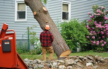 Big R Tree Service Inc. gallery 2