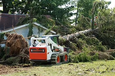 Big R Tree Service Inc. gallery 3