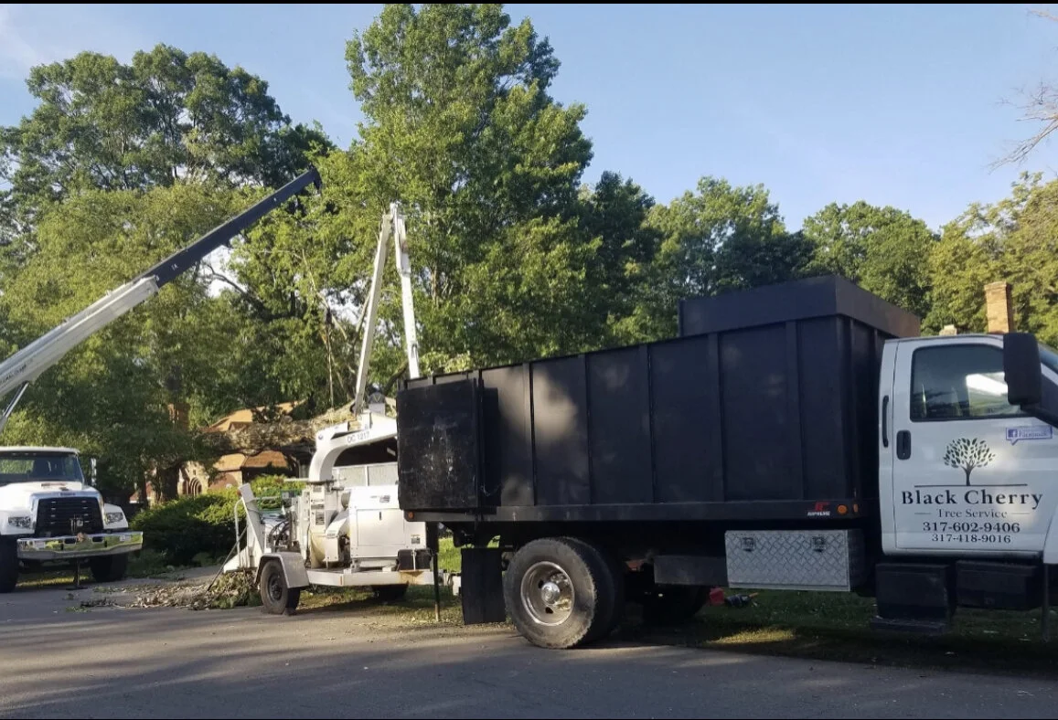 Black Cherry Tree Service gallery 3