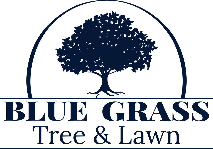 Bluegrass Tree & Lawn gallery 2