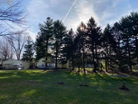 Bluegrass Tree & Lawn gallery 8