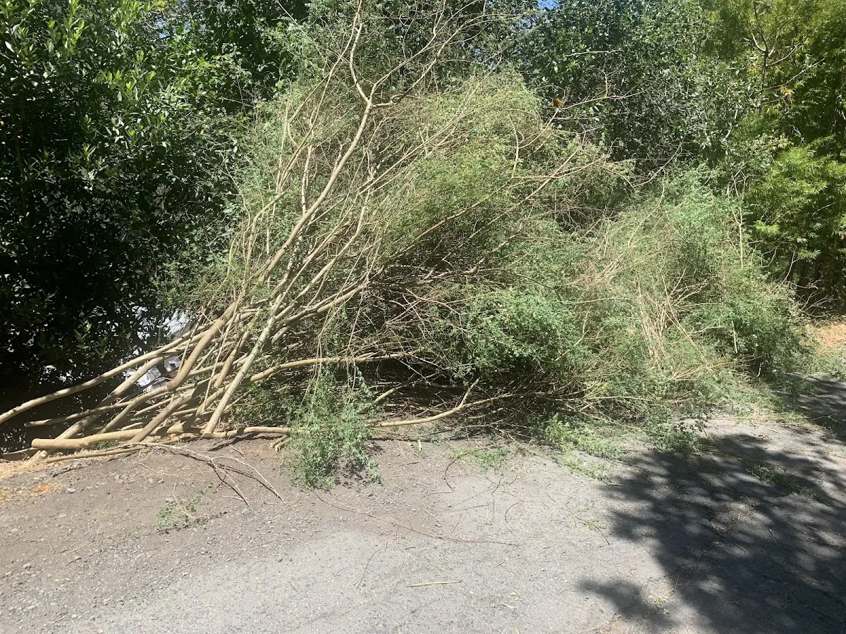 BOB'S FIRESAFE TEAM (TREE SERVICE)
