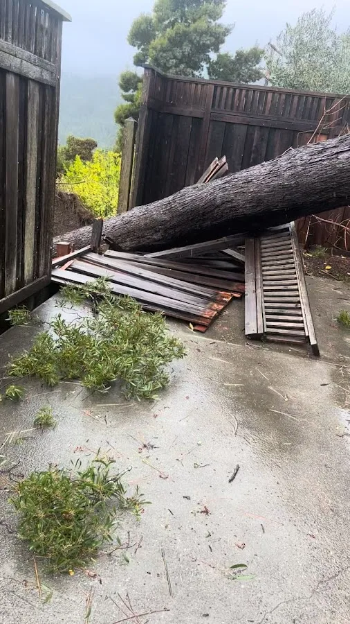BOB'S FIRESAFE TEAM (TREE SERVICE) gallery 2