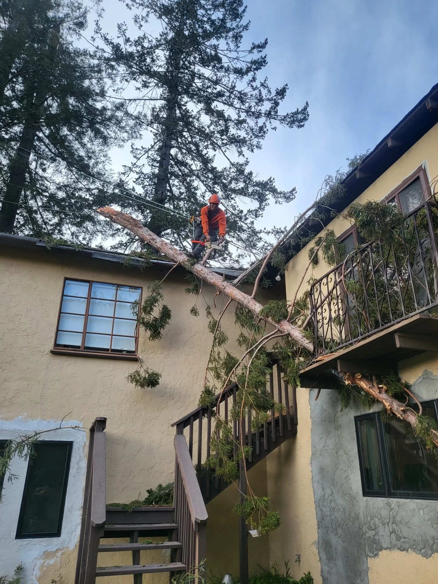 BOB'S FIRESAFE TEAM (TREE SERVICE) gallery 5