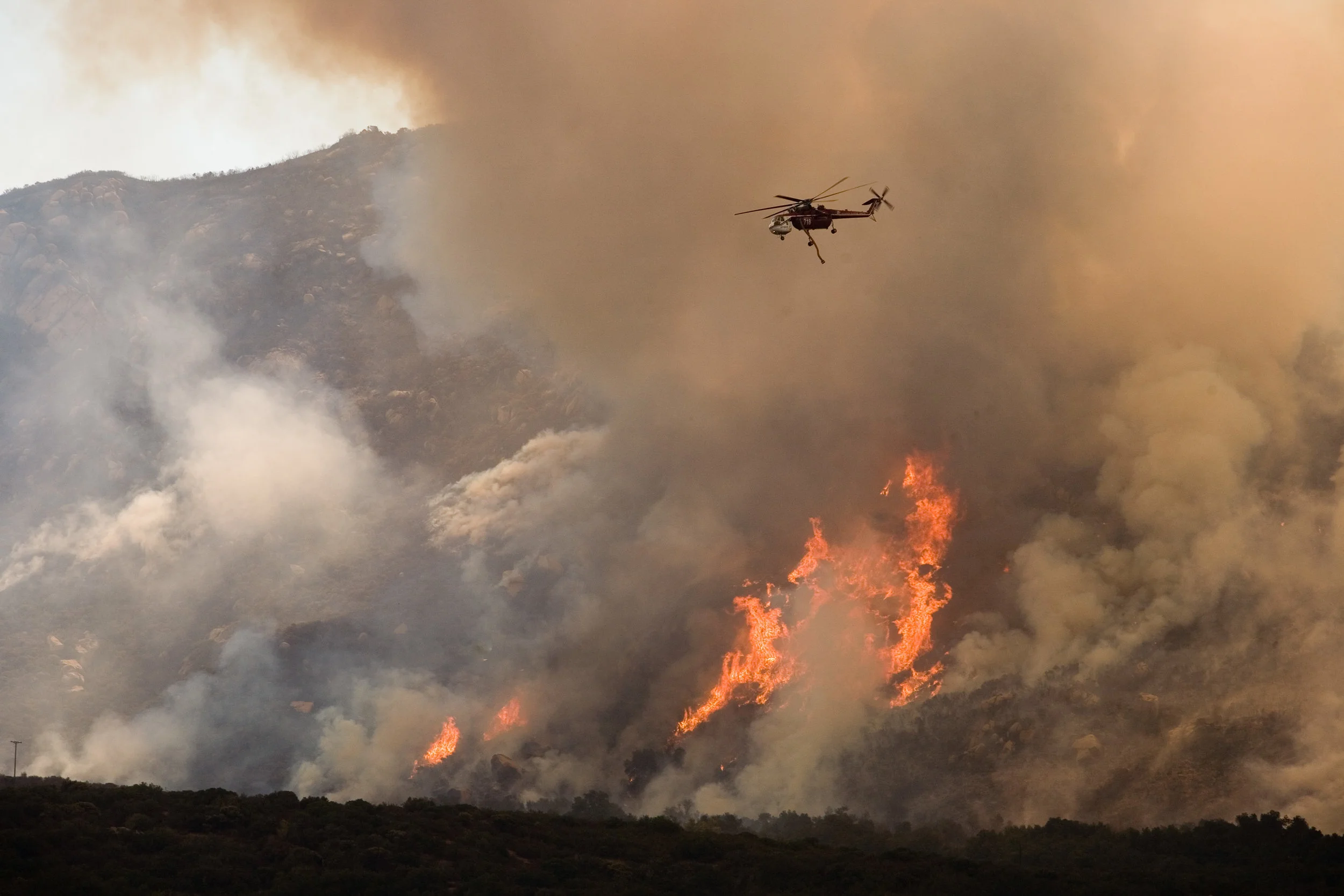 BOB'S FIRESAFE TEAM (TREE SERVICE) gallery 7