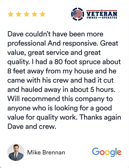 Branch Manager Tree Service gallery 4