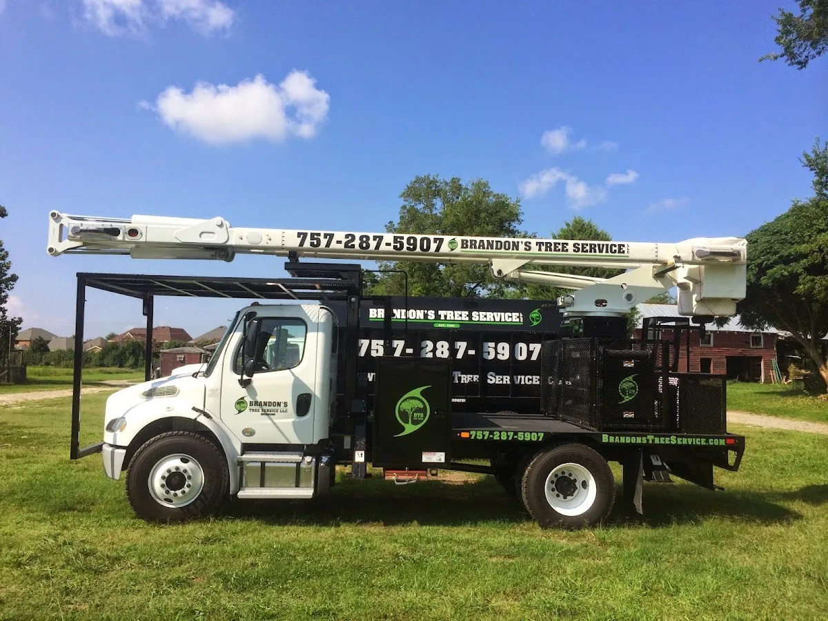 Brandon's Tree Service