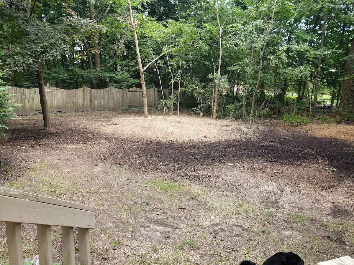 Broad Ripple Tree Service, Inc